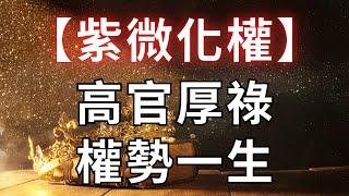 紫微十二宮【紫微化權】高官厚祿，權勢一生！麥可大叔30年紫微斗數算命命理老師