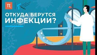 Откуда берутся инфекции? / ПостНаука