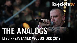 The Analogs LIVE Przystanek Woodstock