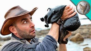 IT'S HUGE! Giant Black Slug!