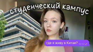 обзор на кампус китайского вуза + моя комната (столовая/ библиотека/ классы) #китай #жизньвкитае