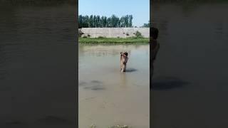 kanri kanri