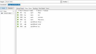 How to check all open ports on an ip address | NETVN