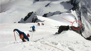 At an altitude of 5.5 km, the climbers almost fell out of FEAR when they saw who was coming to them!