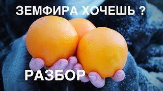 ЗЕМФИРА - ХОЧЕШЬ? // Разбор на УКУЛЕЛЕ