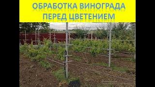 Обязательная обработка винограда перед цветением. Профилактика грибковых заболеваний. Июнь 2021 года