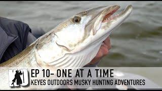 One Muskie at a Time - Keyes Outdoors Musky Hunting Adventures