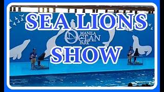 SEA LIONS SHOW AT MANILA OCEAN PARK