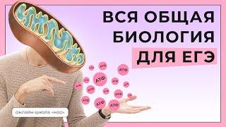 ВСЯ ОБЩАЯ БИОЛОГИЯ | ЕГЭ ПО БИОЛОГИИ | НОО