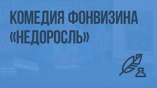 Комедия Фонвизина «Недоросль». Видеоурок по литературе 8 класс