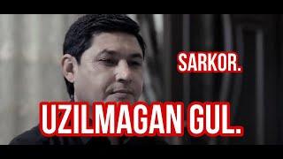 UZILMAGAN GUL 27 - qism qachon chiqadi deganlar uchun SARKOR Yulduz Usmonova xaqida gapirdi.