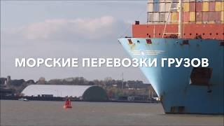 Морские перевозки грузов