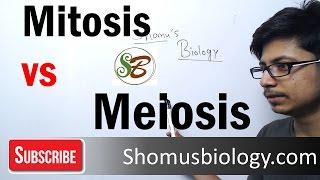 Difference between mitosis and meiosis