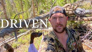 DRIVEN- OTC COLORADO ARCHERY ELK HUNT   HD 1080p