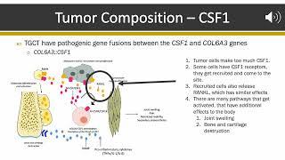 From Cells to Tumors: The Pathology of TGCT