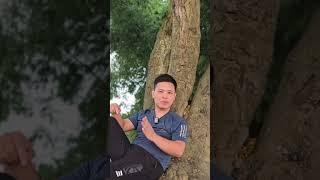 Tạo ra bài bát cho riêng mình bằng AI #ai #suno #nhac