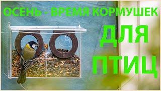 Осень - время кормушек для птиц! Формирование кормовых маршрутов. Подготовка оконной кормушки.