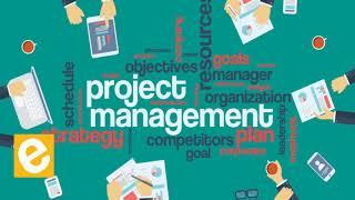 What is project Management