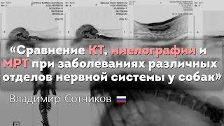 Сравнение КТ, миелографии и МРТ при заболеваниях различных отделов нервной системы у собак