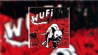 Wufi - Salt It