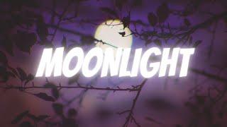 Chill Melodic Guitar Type Beat – “Moonlight” | Trap/Rap Instrumental | Prod. Scorp10n Beatz