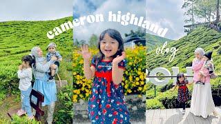 vlog | cameron highland | keisha & mikhael 2nd time in cameron highland