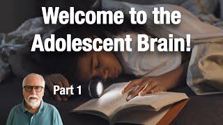 5 Key Facts About the Adolescent Brain You Need to Know