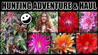 TROPICAL PLANT INSANITY! Garden Tour & Haul! Epiphyllums, Sea Onion, Ferns & Bromeliads