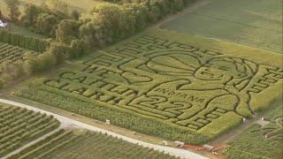 Indiana farm honors Fever star Caitlin Clark with corn maze!