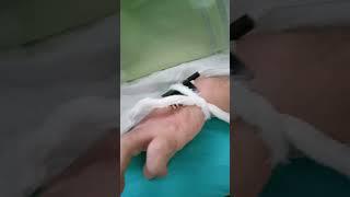 Myostimulator STIMEL-01M