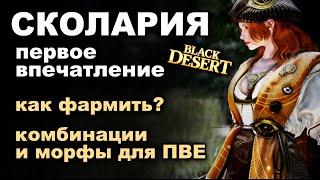 СКОЛАРИЯ: Скилы, билды, комбы на фарм и первые впечатления - НЕ гайд в BDO - Black Desert (MMORPG)