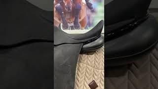 Childeric saddles