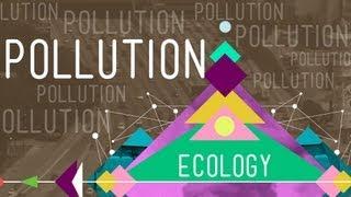 Pollution: Crash Course Ecology #11