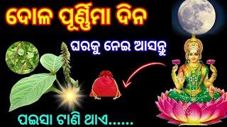 ଦୋଳ ପୂର୍ଣ୍ଣିମା ଦିନ ଘରକୁ ନେଇ ଆସନ୍ତୁ ଏହି ଗଛର ଚେର/ହେବ ଧନର ବର୍ଷା/dola purnima 2025/holi 2025