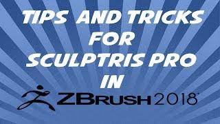 Tips and tricks for Sculptris Pro in zbrush 2018