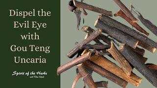 If Looks Could Kill | Gou Teng Uncaria  | Herb of the Week | Wood Element