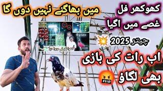 کھوکھر کو بازی کا چیلنج کر دیا ??  |  Nasir pigeon club  | khokhar pigeon club