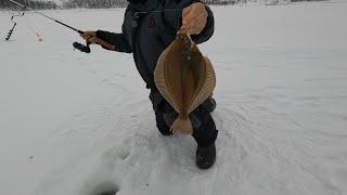 ЗИМНЯЯ МОРСКАЯ РЫБАЛКА СО ЛЬДА В БАРЕНЦЕВОМ МОРЕ / WINTER SEA FISHING