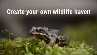 The Wildlife Garden Project - Create your own little haven for wildlife