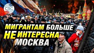 Жесткие ограничения для мигрантов в России: глава СК РФ Бастрыкин предложил новые меры