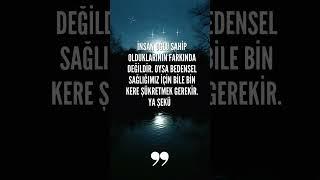 #erildişil #sevgi #haticeaktaş #psikoloji #bioenerji #ilişkikoçluğu #amin #ikizalev