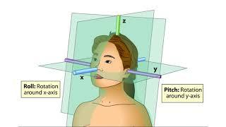 The Vestibular System