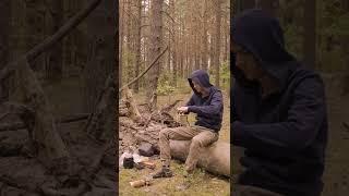 Having a good time camping in the forest #asmr #camping #bushcraft