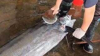 How to Fillet Giant marlin fish with Special Knife - Taiwanese street food