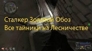 Сталкер Золотой Обоз: все тайники на Лесничестве