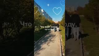 Скажи спасибо #музыкальныеоткрытки #открыткидлятебя #пожелание