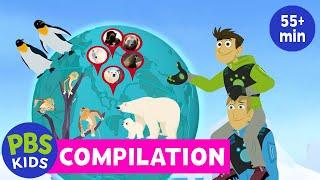 Wild Kratts | Arctic Creatures Compilation | PBS KIDS