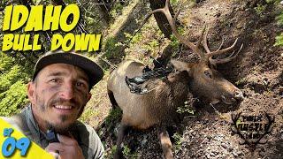 IDAHO ARCHERY BULL DOWN + Packout With Amazing People // PLH 3.09
