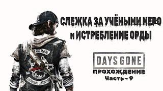 DAYS GONE: СЛУЧАЙНО ПЕРЕБИЛИ ОРДУ, ЗАЧИЩАЕМ АДИЩЕ и СЛЕДИМ ЗА УЧЁНЫМИ НЕРО