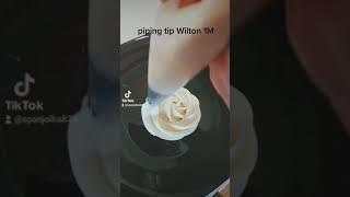 Wilton 1M tip